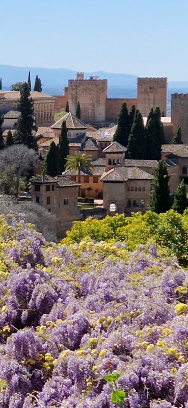 Granada, Alhambra, visterije